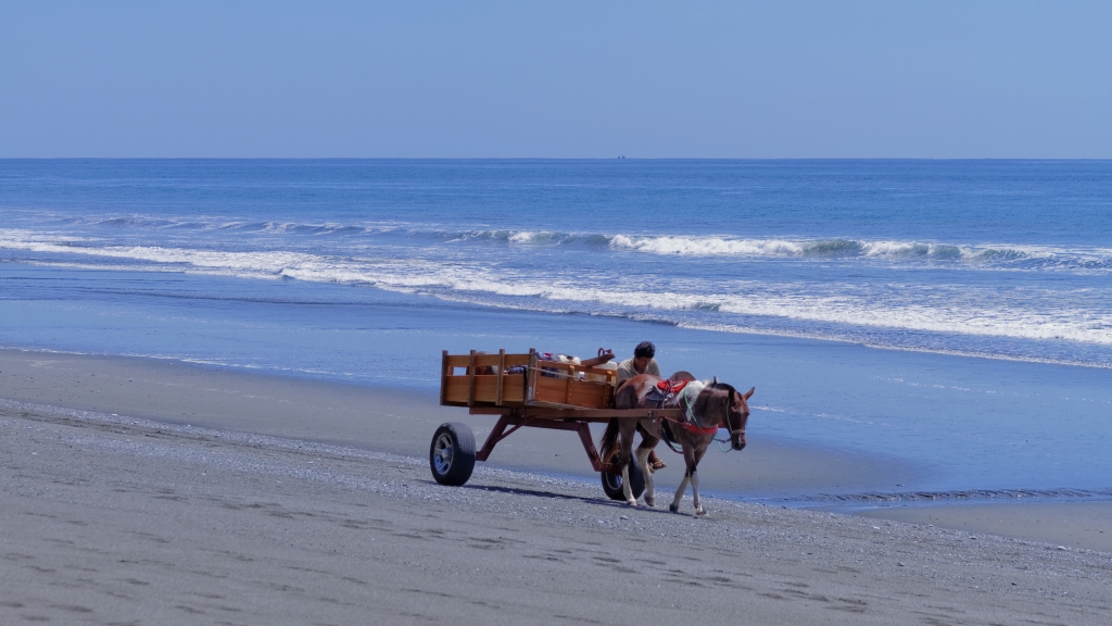 11 - Corcovado NP (11).jpg